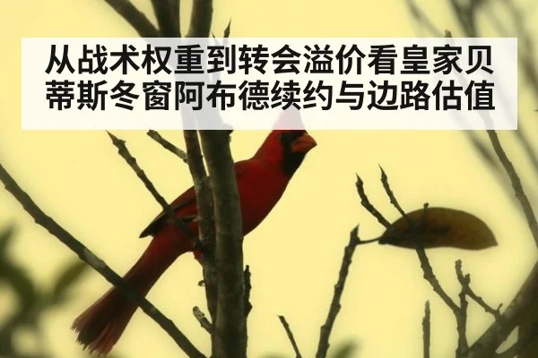 从战术权重到转会溢价看皇家贝蒂斯冬窗阿布德续约与边路估值